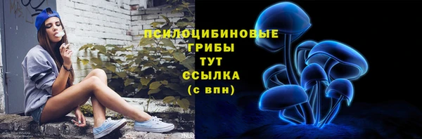 ГАЛЛЮЦИНОГЕННЫЕ ГРИБЫ Ладушкин