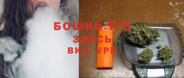 дурь Лабытнанги