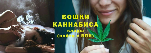 дурь Лабытнанги
