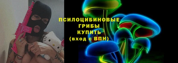 дурь Лабытнанги