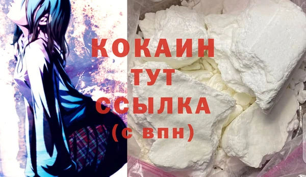 дурь Лабытнанги