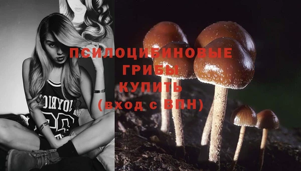 дурь Лабытнанги