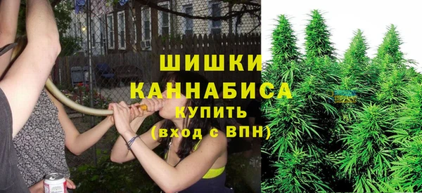 дурь Лабытнанги
