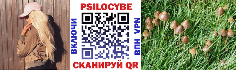 где купить наркотик  Сургут  Галлюциногенные грибы Cubensis 